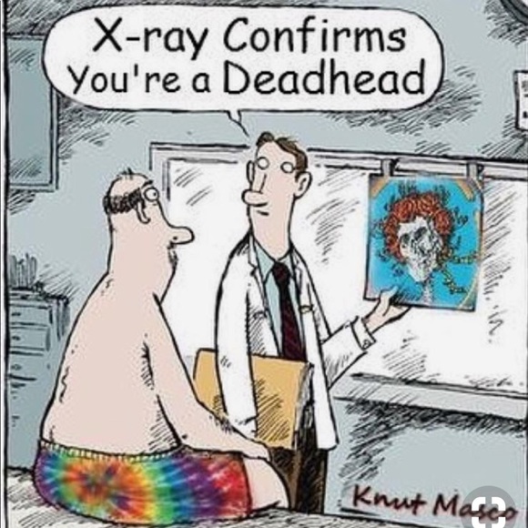 Meet your Posher, Amy - Picture 5 of 7